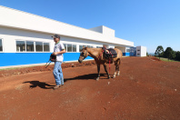 Do improviso à sede própria: com apoio do Estado, Flor da Serra do Sul terá nova APAE