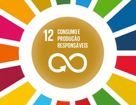 Mudanças de comportamento podem gerar padrões sustentáveis de consumo e produção