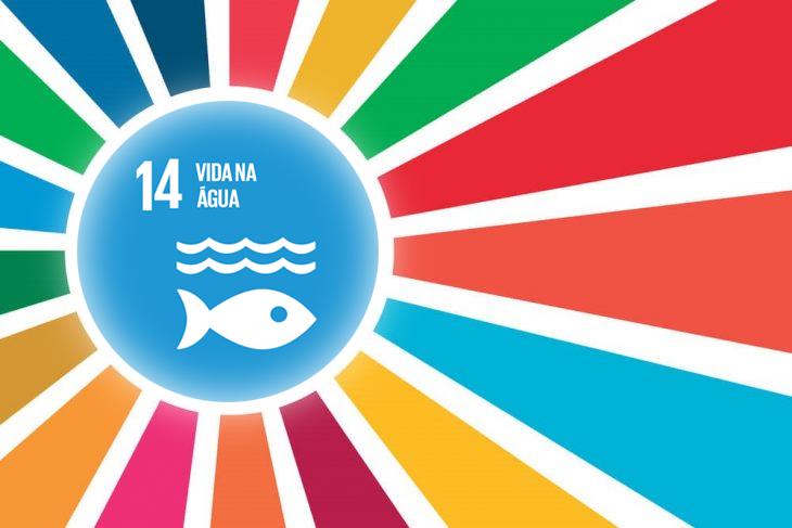 Conscientização é primeiro passo para salvar os Oceanos e a vida no Planeta