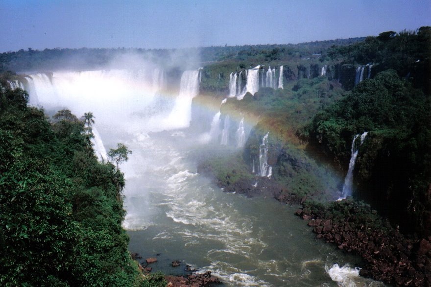 Ecossistemas terrestres dependem de conscientização e de políticas públicas