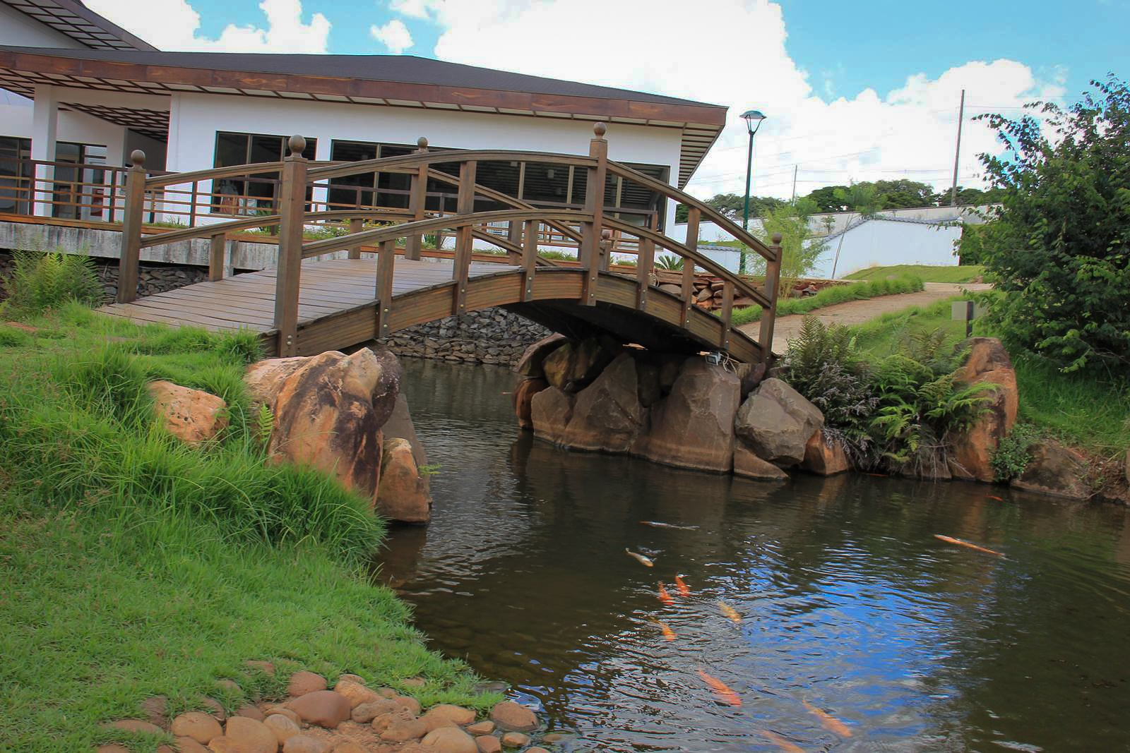 Feliz Natal! 
Próspero Ano Novo!
