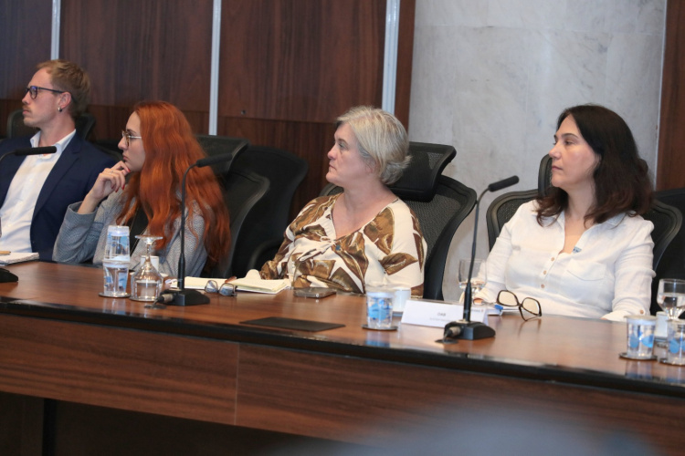 Reunião do Comitê Técnico Público-Privado de ESG no Paraná promove alinhamento de ações