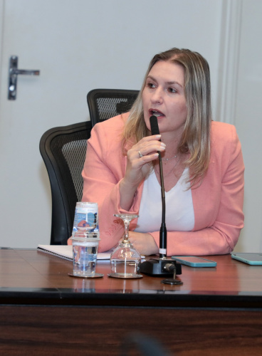 Reunião do Comitê Técnico Público-Privado de ESG no Paraná promove alinhamento de ações