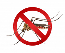 O combate à dengue em canteiros de obras