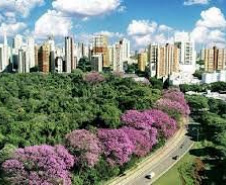 PDUIs das Regiões Metropolitanas de Londrina, Maringá e Cascavel se formalizam com o fim do distanciamento social
