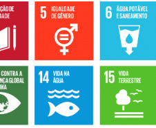 Revisão do Plano Diretor permite que Municípios alinhem o Planejamento Urbano aos ODSs da ONU