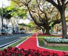 Grupos Técnicos dedicados ao  Planejamento podem melhorar o uso de recursos públicos nos Municípios