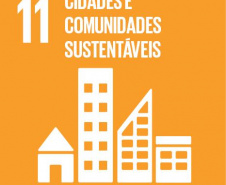 Conhecimento da Agenda 2030 e ODSs fortalece plataforma de candidatos a eleições