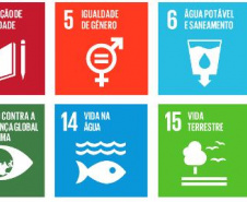 Conhecimento da Agenda 2030 e ODSs fortalece plataforma de candidatos a eleições