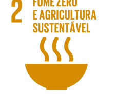 Campanha estimula debate à criação de Políticas Públicas