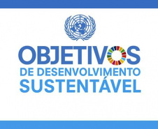 Como promover e assegurar a igualdade de gênero?