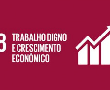 Funcionários do Paranacidade identificam ações para atingir o ODS 8