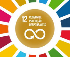 Mudanças de comportamento podem gerar padrões sustentáveis de consumo e produção