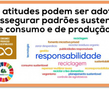 Mudanças de comportamento podem gerar padrões sustentáveis de consumo e produção