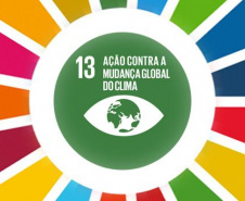 Ação local é proposta para enfrentar mudanças climáticas globais