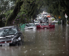 Ação local é proposta para enfrentar mudanças climáticas globais