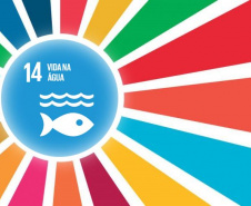 Conscientização é primeiro passo para salvar os Oceanos e a vida no Planeta