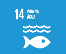 Conscientização é primeiro passo para salvar os Oceanos e a vida no Planeta