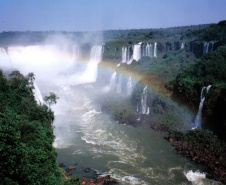 Ecossistemas terrestres dependem de conscientização e de políticas públicas