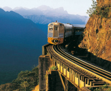 Ecossistemas terrestres dependem de conscientização e de políticas públicas