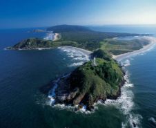 Ecossistemas terrestres dependem de conscientização e de políticas públicas