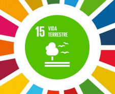 Ecossistemas terrestres dependem de conscientização e de políticas públicas
