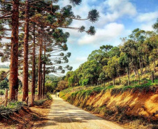 Ecossistemas terrestres dependem de conscientização e de políticas públicas