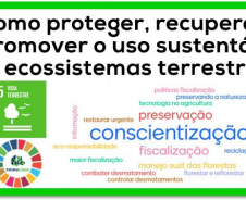 Ecossistemas terrestres dependem de conscientização e de políticas públicas