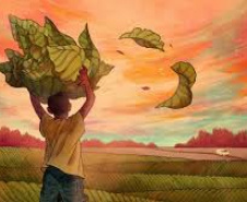 Como assegurar instituições eficazes, responsáveis, transparentes e inclusivas?