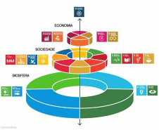 Parcerias fortalecem o desenvolvimento sustentável