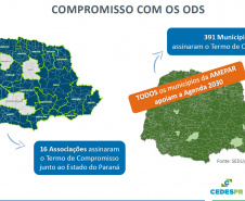 SEDU/PARANACIDADE apresentam ferramentas para a vinculação de Ações Municipais aos ODSs
