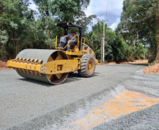 Paraná mostra em números a sua liderança no País