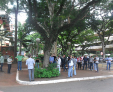Curso de “Arborização Urbana” já atinge 213 profissionais de 128 municípios no Paraná 