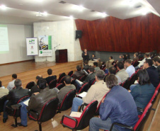 Curso de “Arborização Urbana” já atinge 213 profissionais de 128 municípios no Paraná 