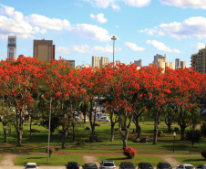 Curso de “Arborização Urbana”  visa melhor planejamento às cidades, à qualidade de vida e menores riscos ao meio ambiente