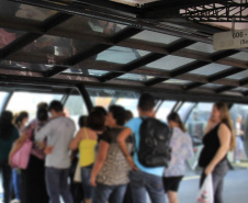 Nova linha de ônibus vai integrar Araucária ao Terminal Pinheirinho