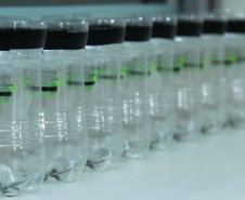 Servidor do Paranacidade/SEDU abre nova frente contra a dengue