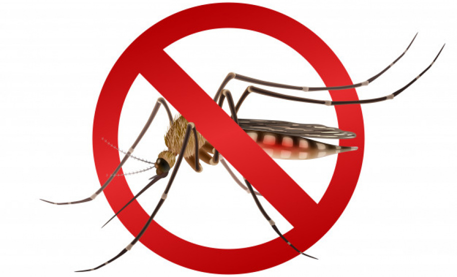 O combate à dengue em canteiros de obras