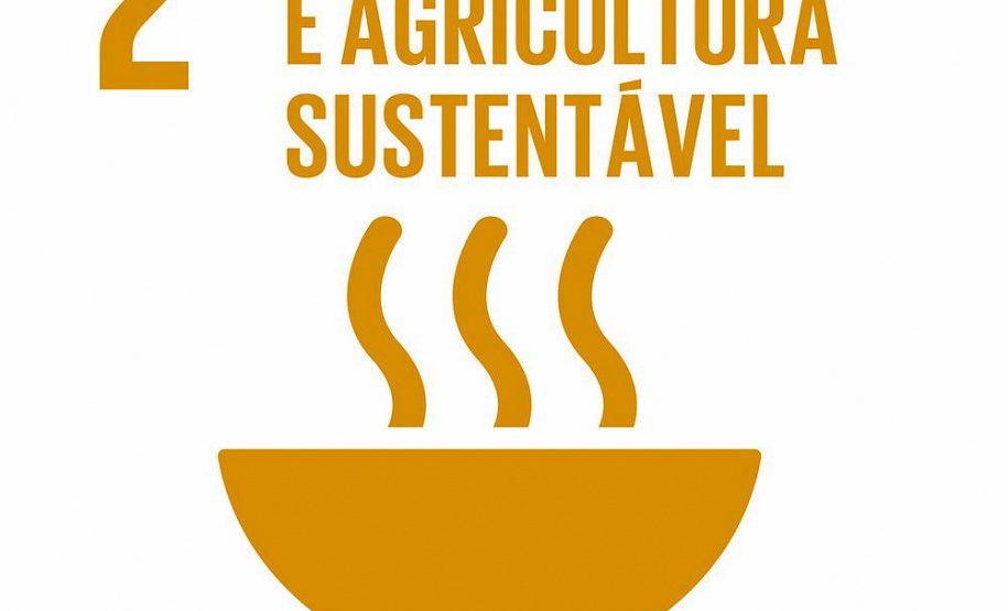 Campanha estimula debate à criação de Políticas Públicas