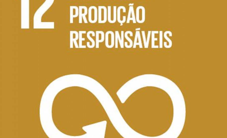 Mudanças de comportamento podem gerar padrões sustentáveis de consumo e produção