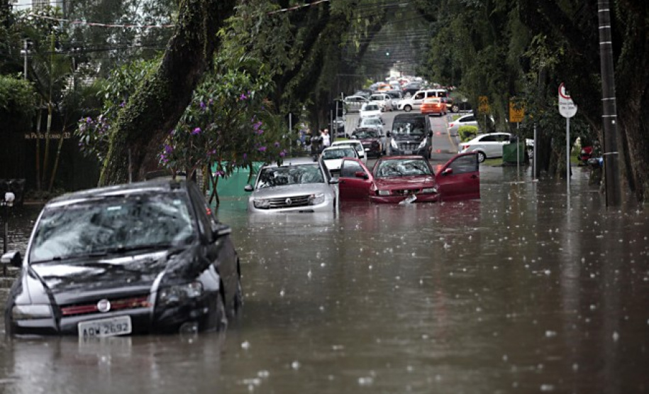 Ação local é proposta para enfrentar mudanças climáticas globais