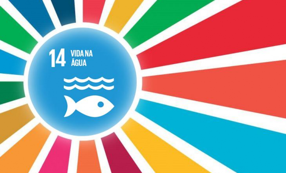 Conscientização é primeiro passo para salvar os Oceanos e a vida no Planeta