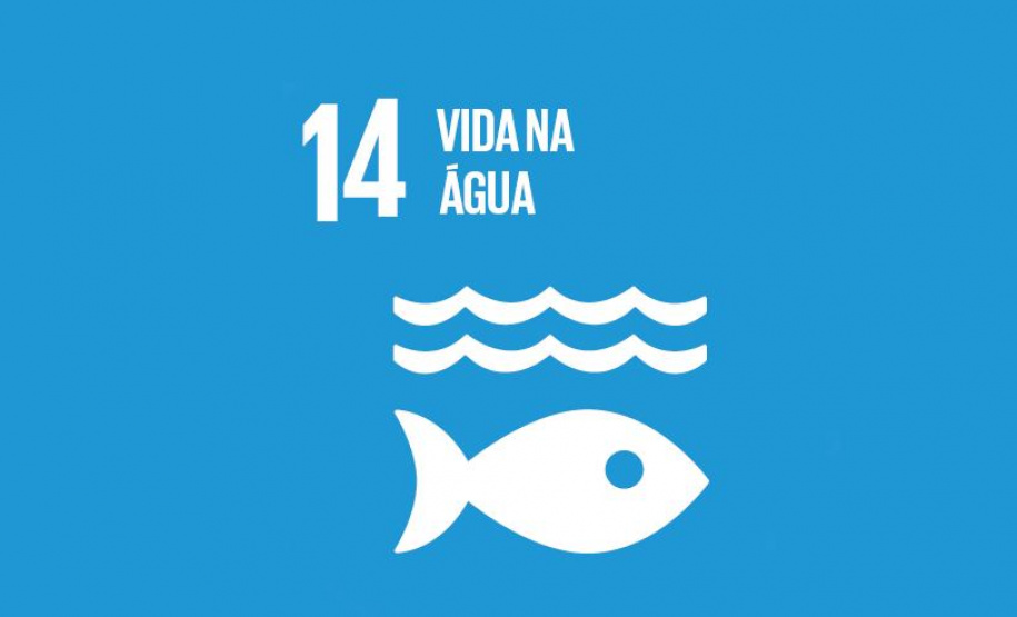 Conscientização é primeiro passo para salvar os Oceanos e a vida no Planeta