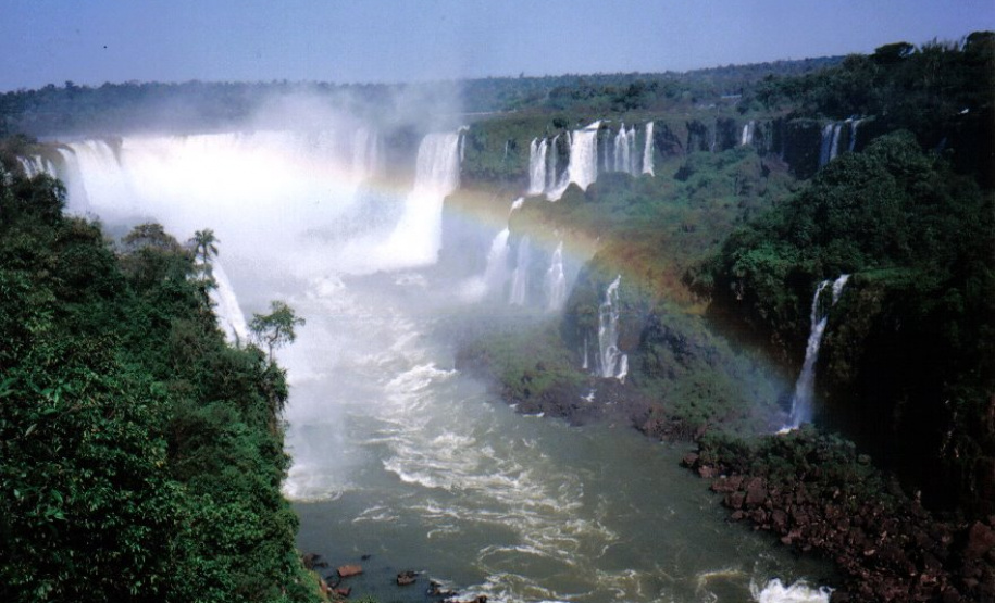 Ecossistemas terrestres dependem de conscientização e de políticas públicas