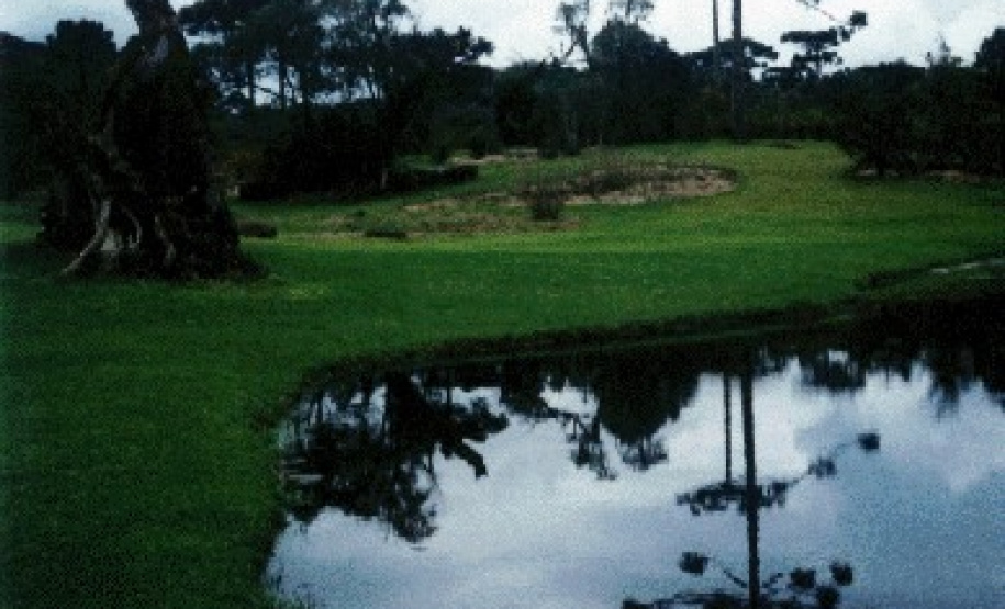 Ecossistemas terrestres dependem de conscientização e de políticas públicas