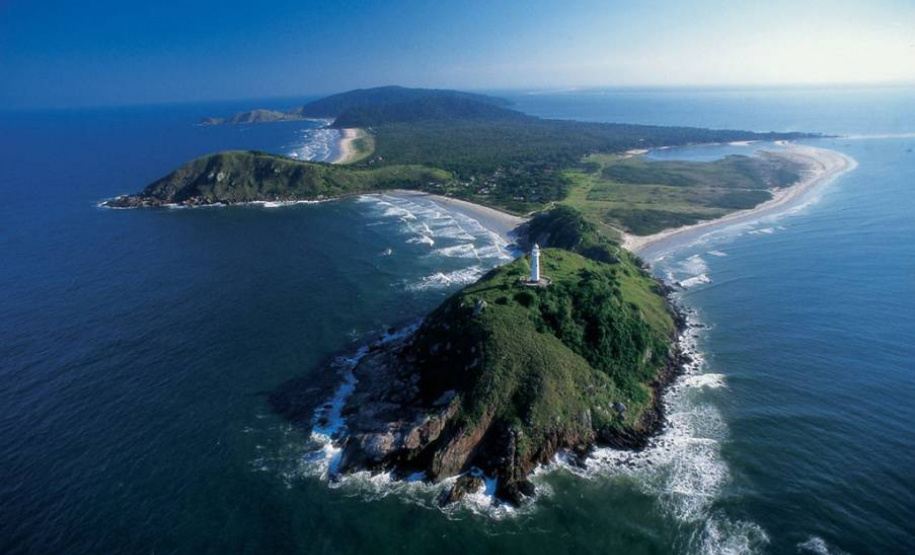 Ecossistemas terrestres dependem de conscientização e de políticas públicas