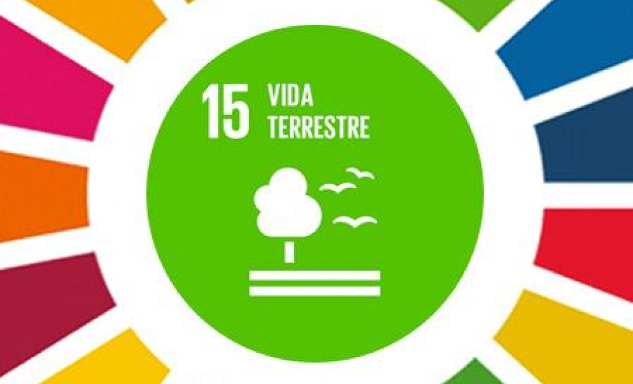 Ecossistemas terrestres dependem de conscientização e de políticas públicas