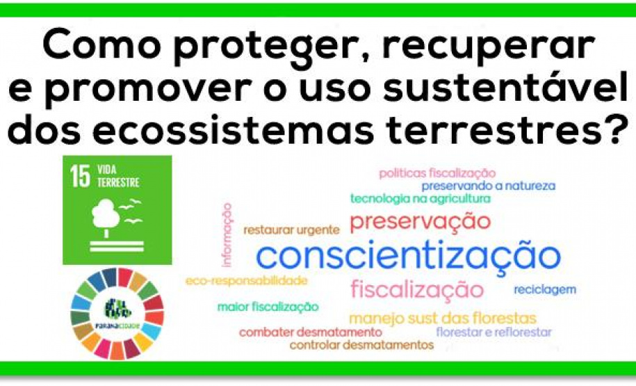 Ecossistemas terrestres dependem de conscientização e de políticas públicas