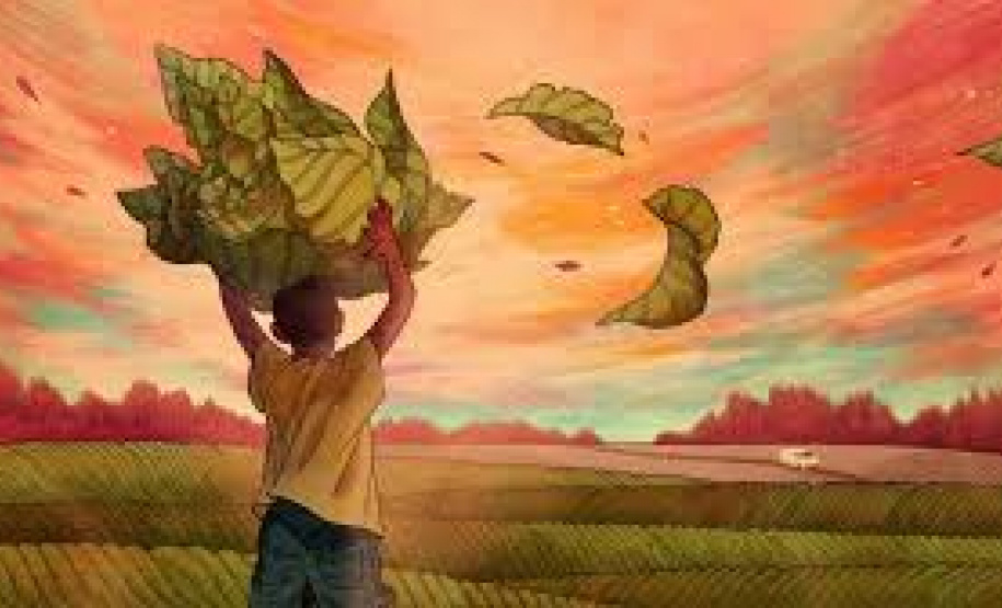 Como assegurar instituições eficazes, responsáveis, transparentes e inclusivas?