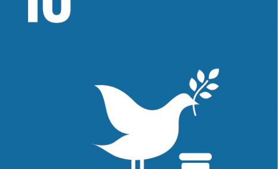 Como assegurar instituições eficazes, responsáveis, transparentes e inclusivas?